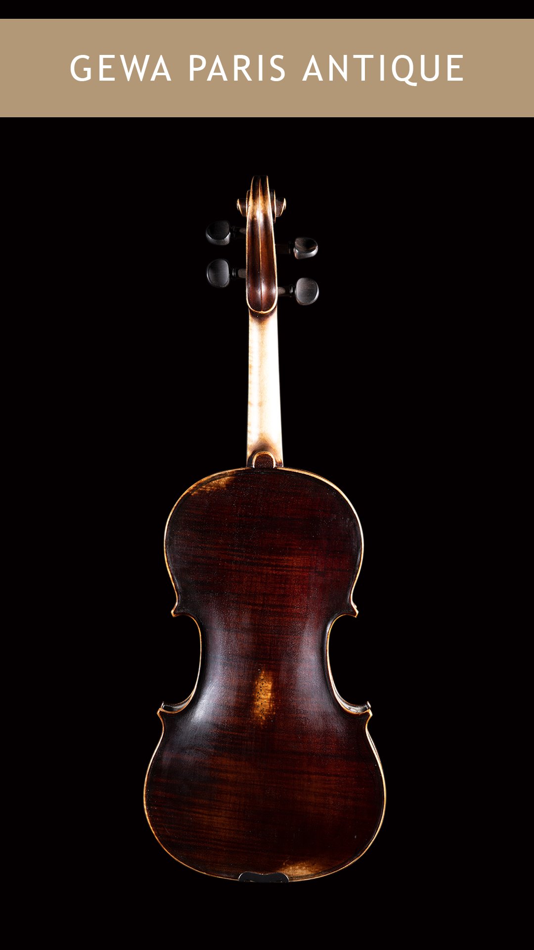 Gewa-Paris-Antique-Violin-Back.jpg