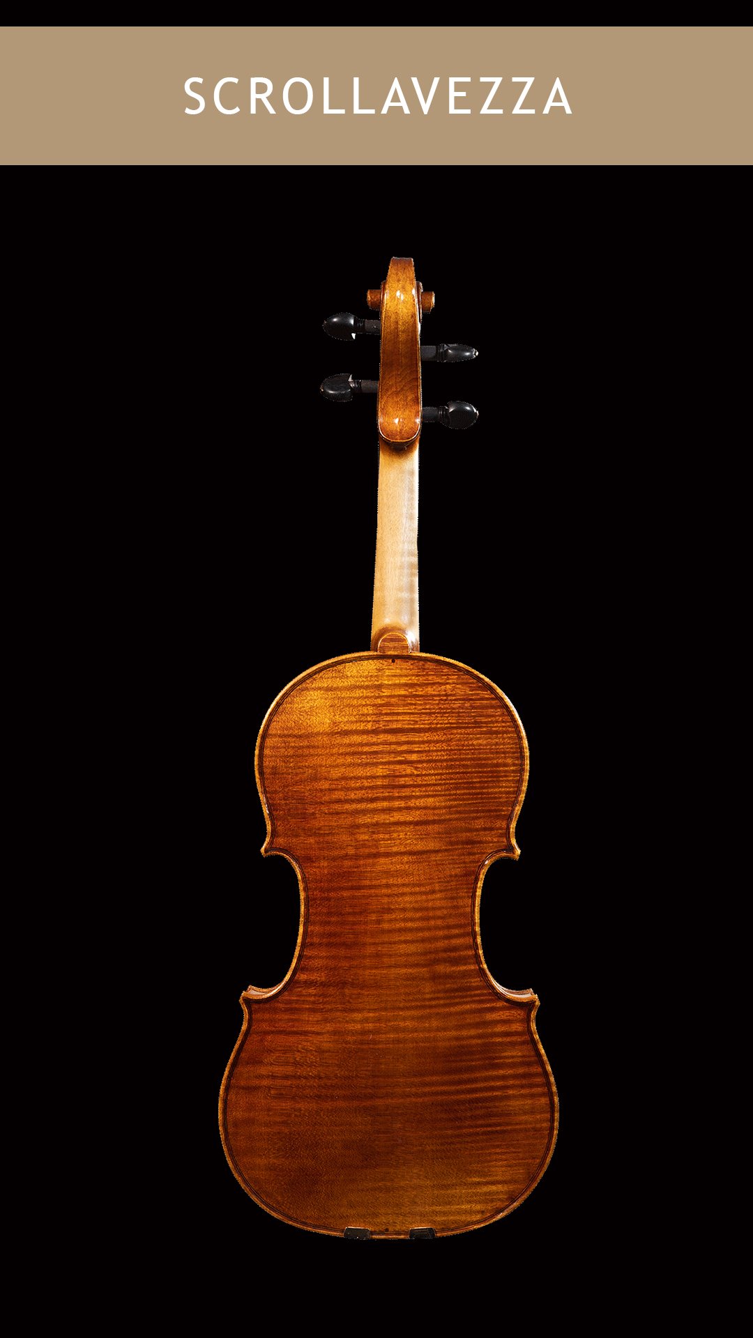 Scrollavezza-Violin-Back.jpg
