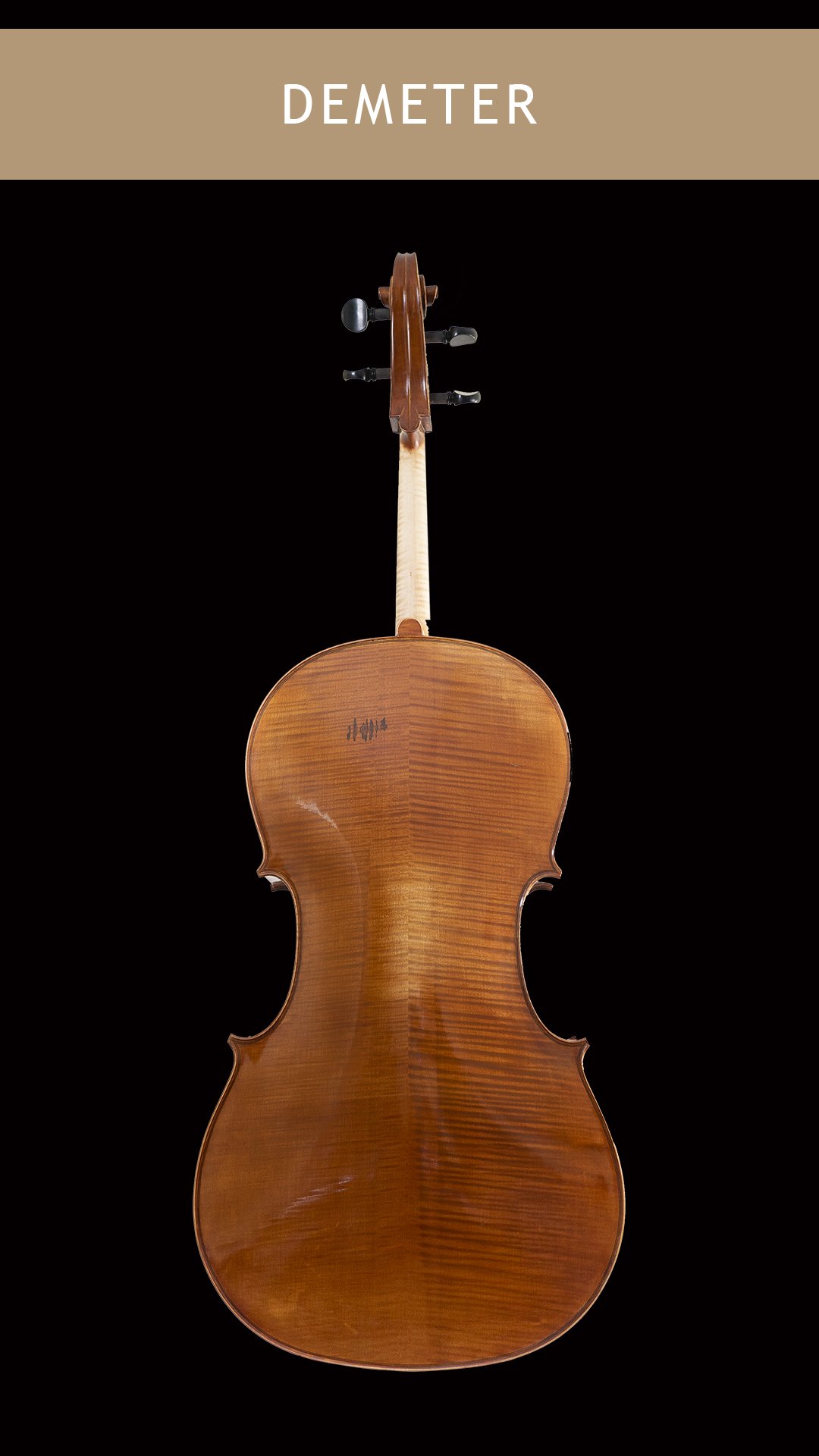 Demeter-Cello-Back.jpg