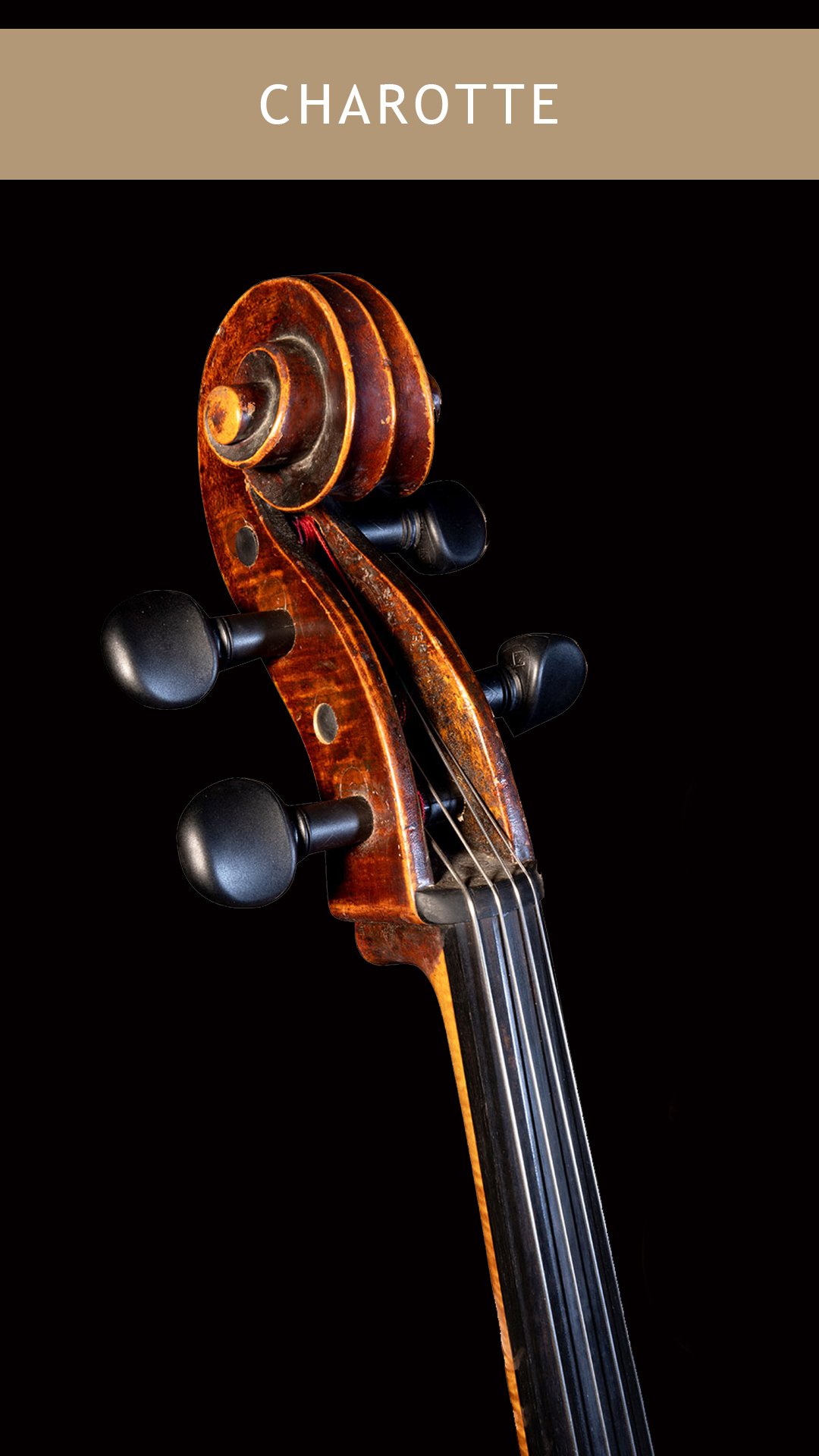 Charotte-Cello-Scroll.jpg