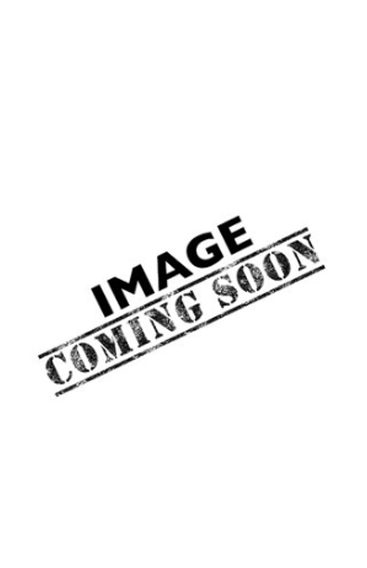 CS 5900G - Howard Core Select Violin — Vermont Violins CS 5900G - Howard Core Select Violin — Vermont Violins