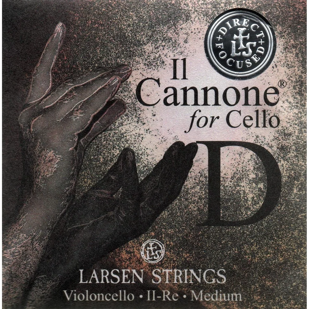 Yasutomo Ogitani, violinist, is a Larsen Strings Artist. Larsen Gold