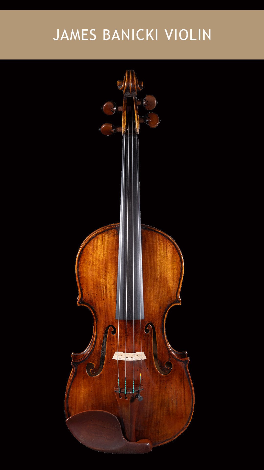 James Banicki Violin