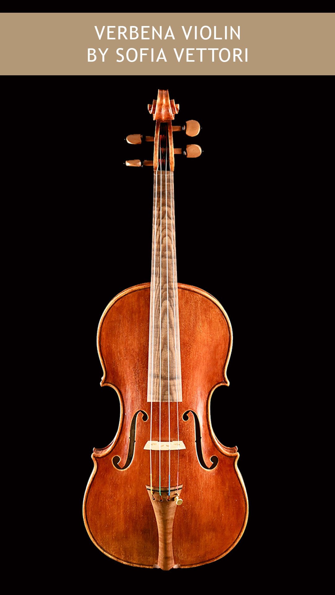 Verbena Violin By Sofia Vettori