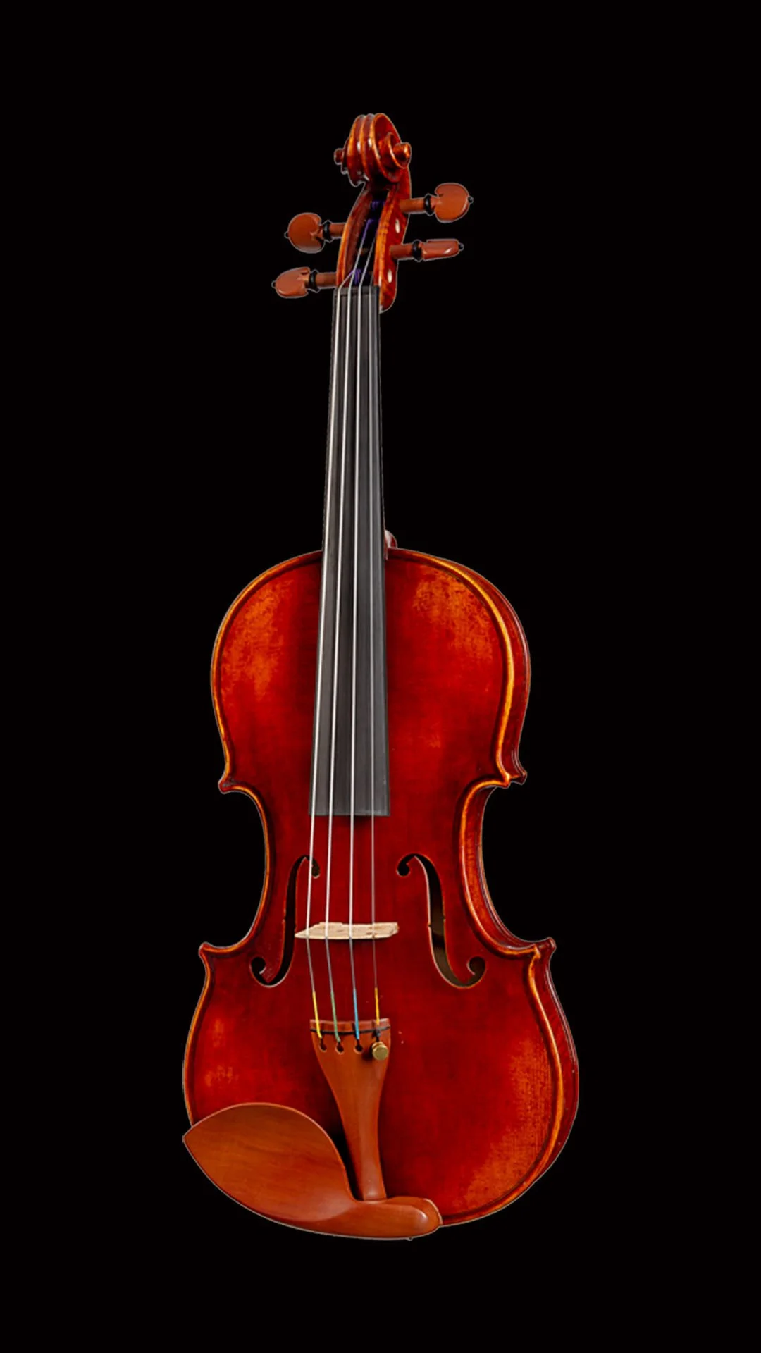 Inspect the Violin’s Construction