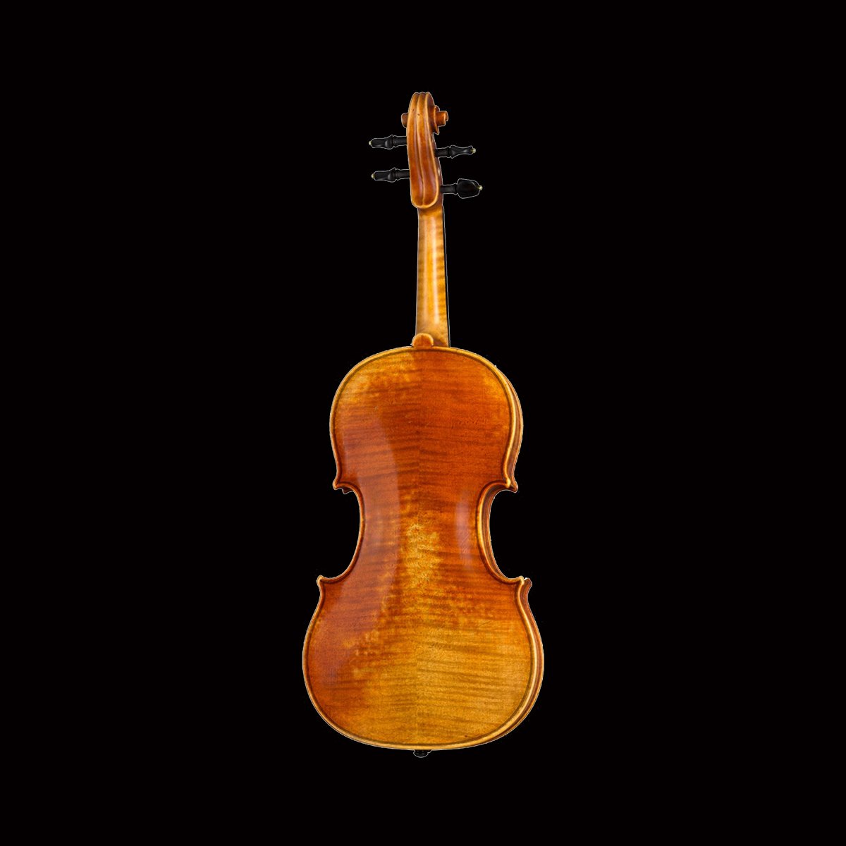 Paesold Violin PA803E Series — Vermont Violins