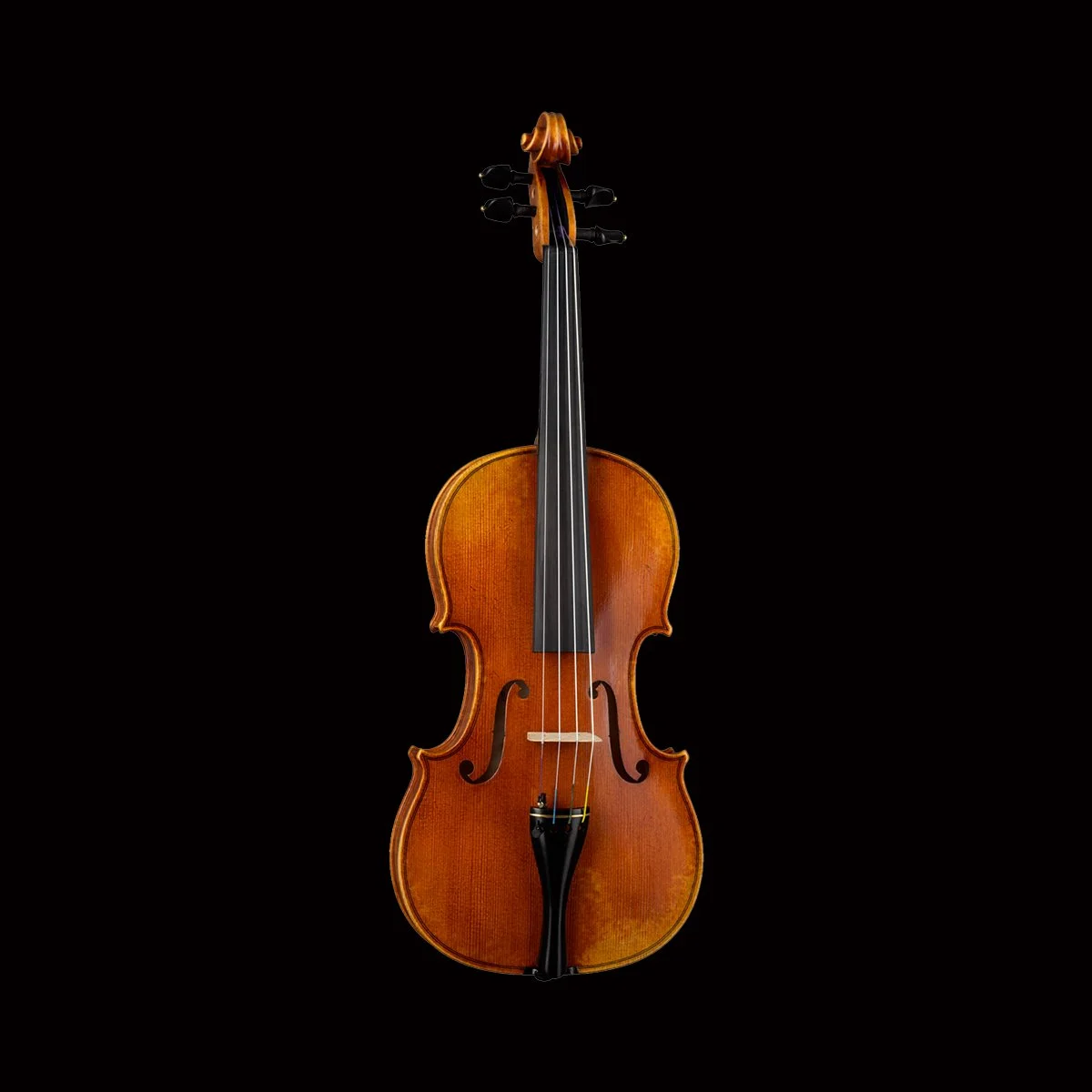 Paesold-Violin-PA803E--Front. 