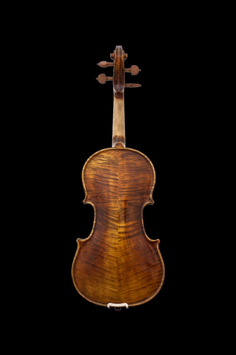 500VN+VA+-+Chaconne+-+Back-Chaconne-Viola.jpg