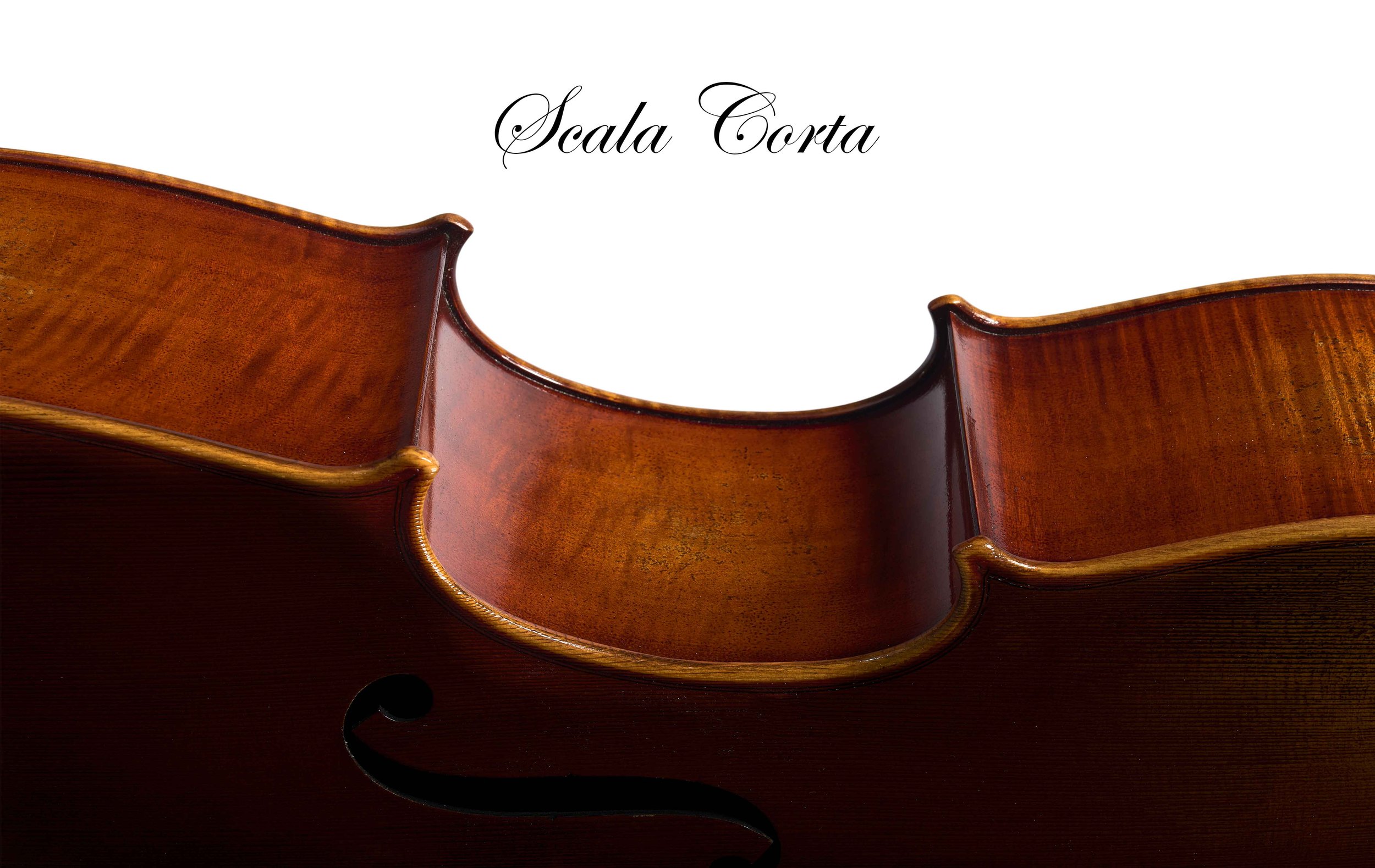 Introducing The Scala Corta Cello: