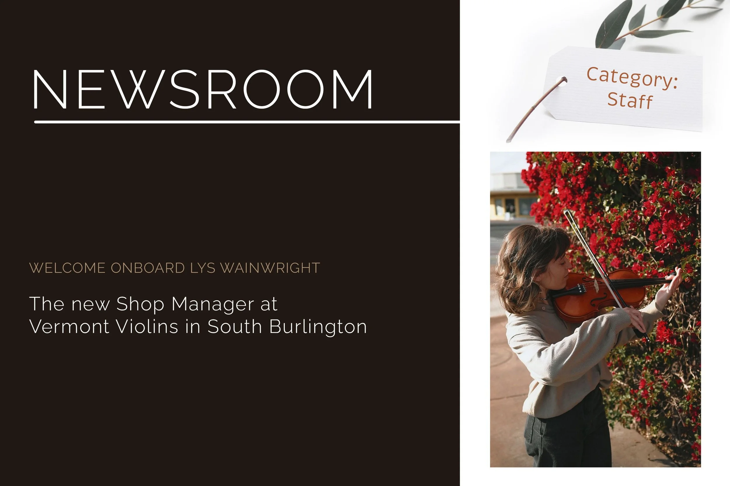 Newsroom-Article-01-Category-Staff-Vermont-Violins-Lys-Wainwright-the-new-Shop-Manager-at-Vermont-Violins-in-South-Burlington.jpg