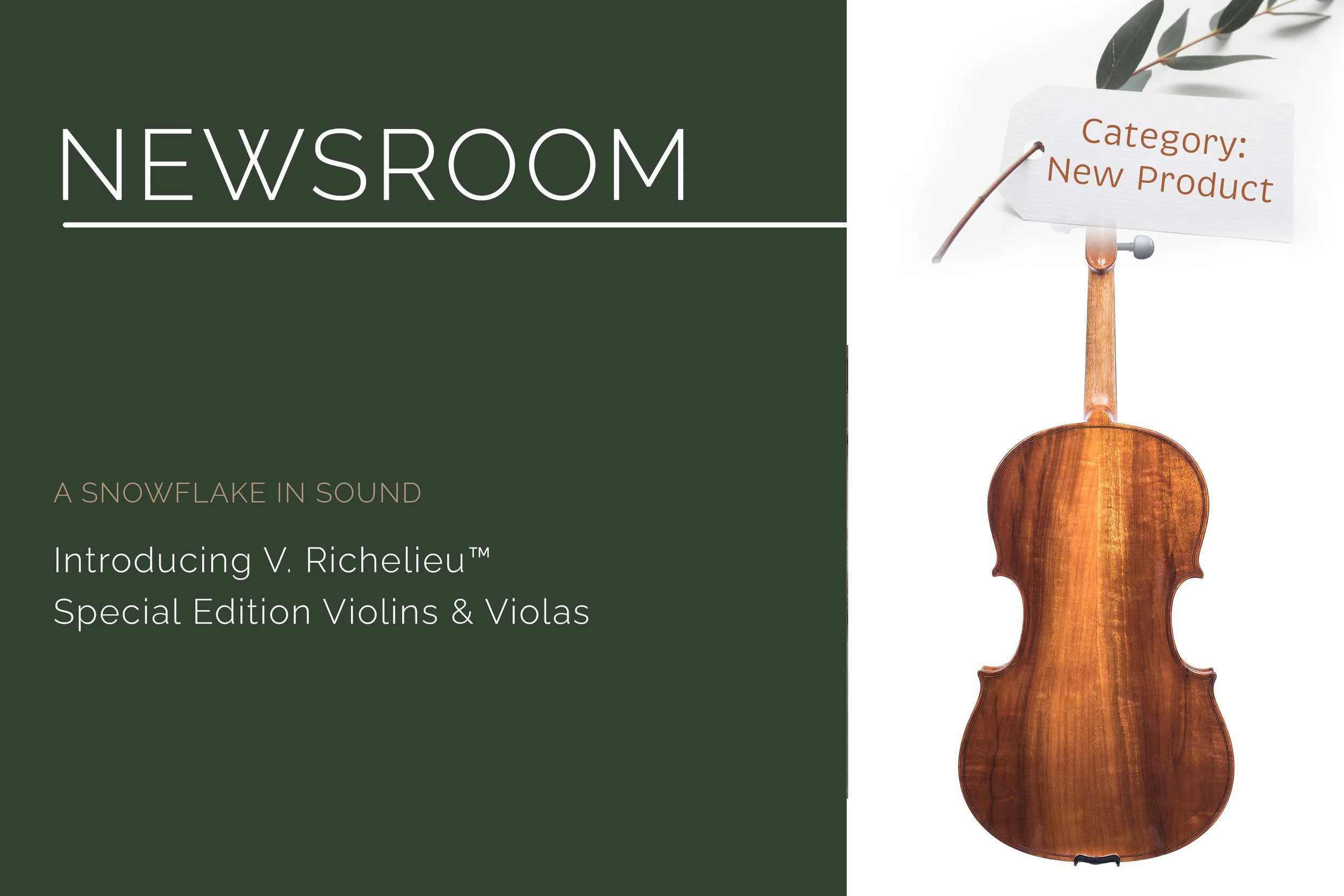 V. Richelieu™ Special Edition Violins &amp; Violas | Lumière Series