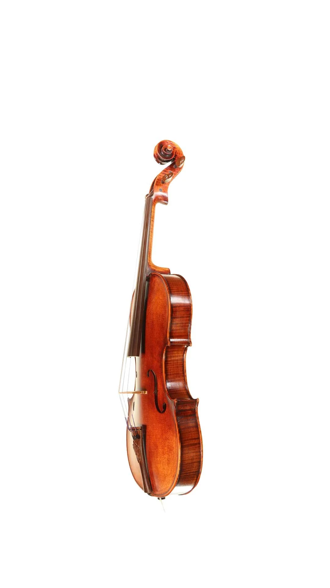 V-Richelieu-11inch-Small-Violas-Side.jpg
