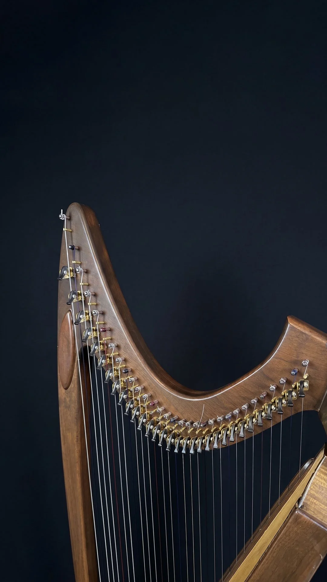 Music-Maker-Harp-03.jpg