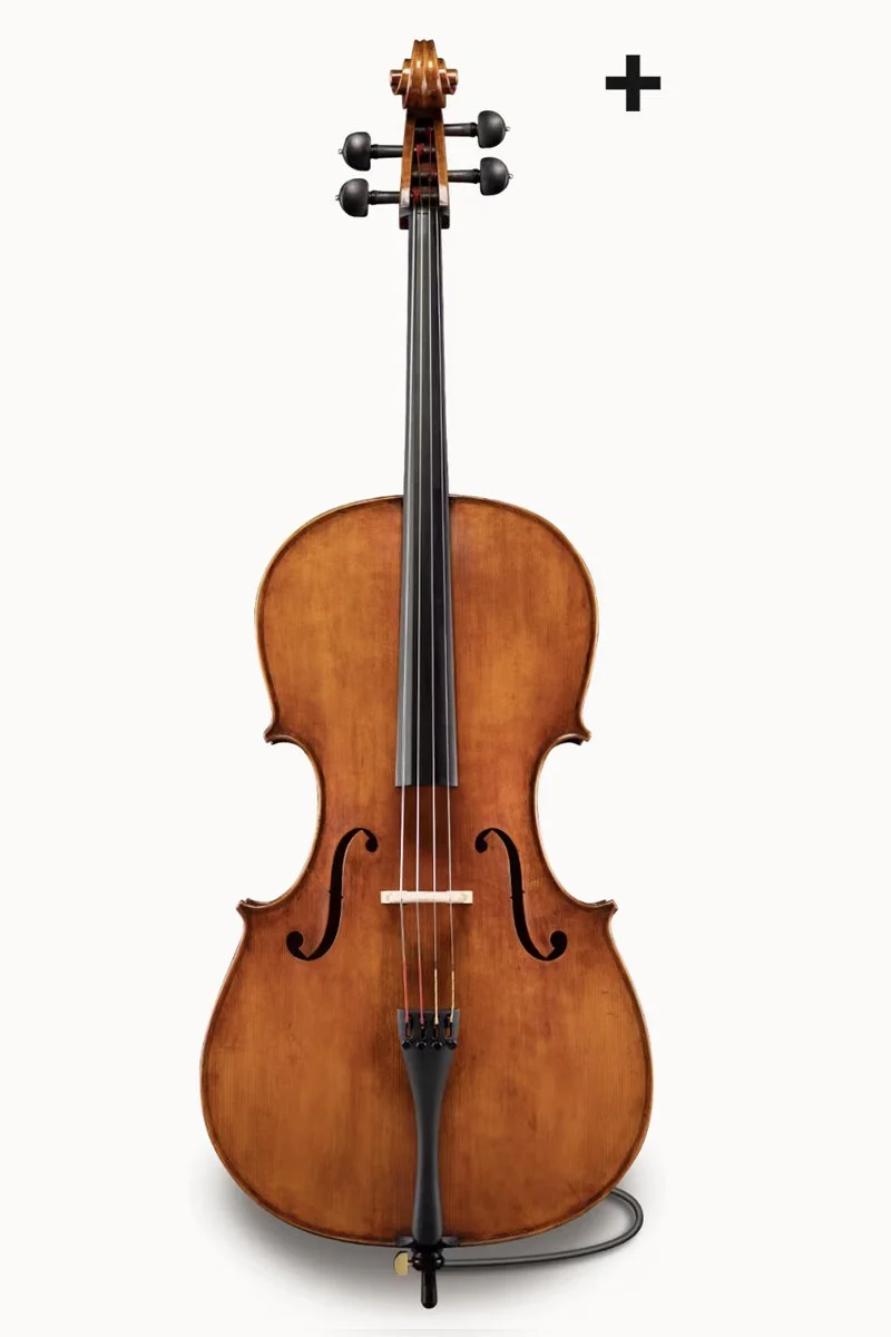 Eastman Series Plus — Vermont Violins