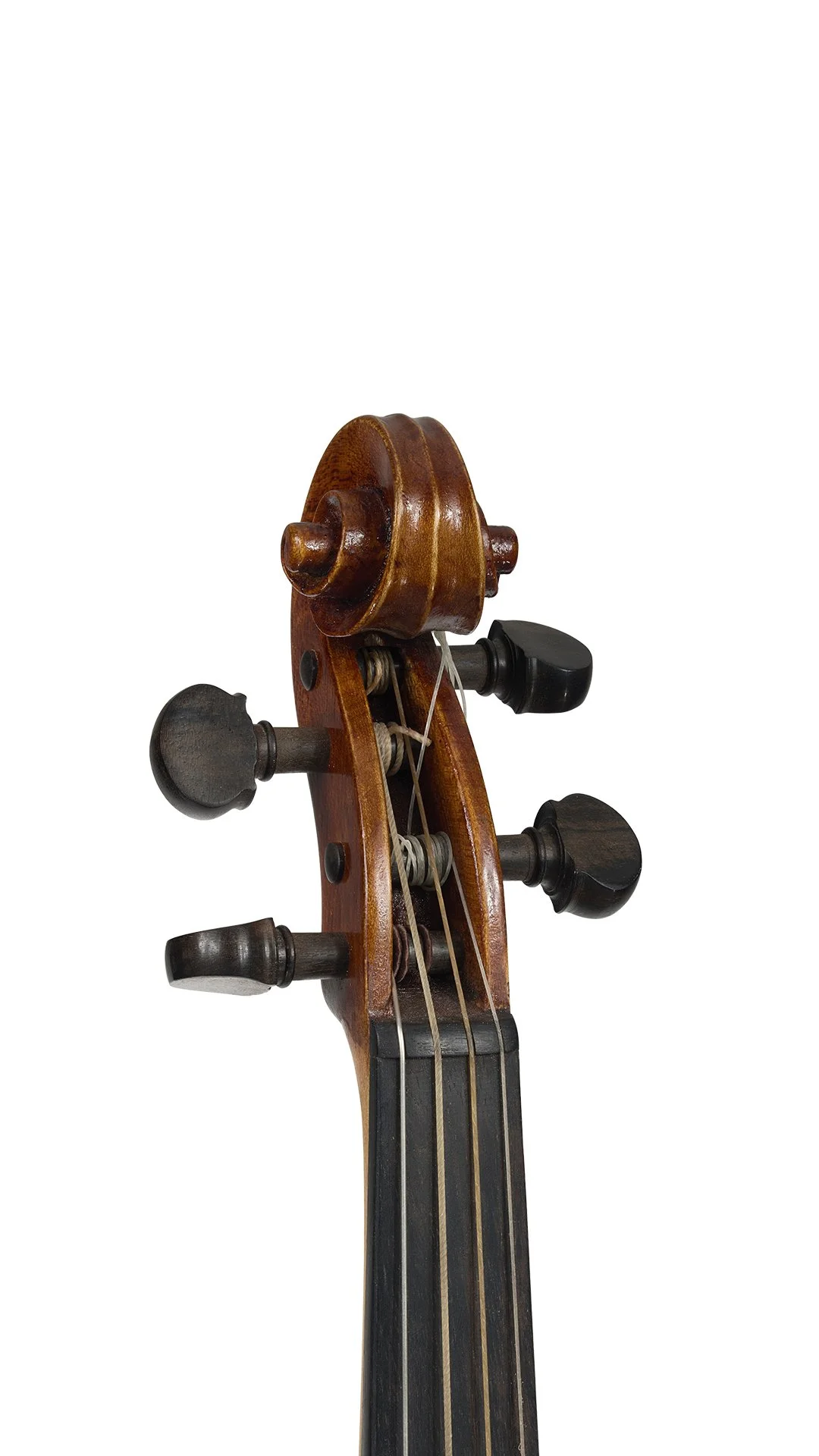 Sarah-Peck-Baroque-Violin-Scroll.jpg