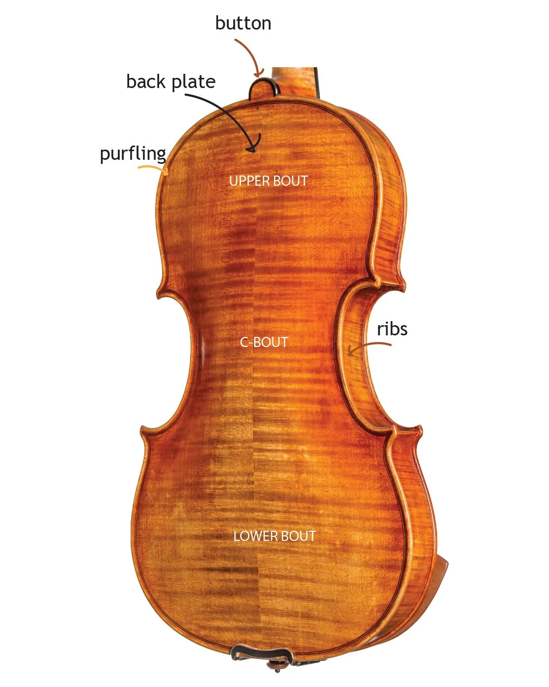 Understanding Violin Parts for beginners