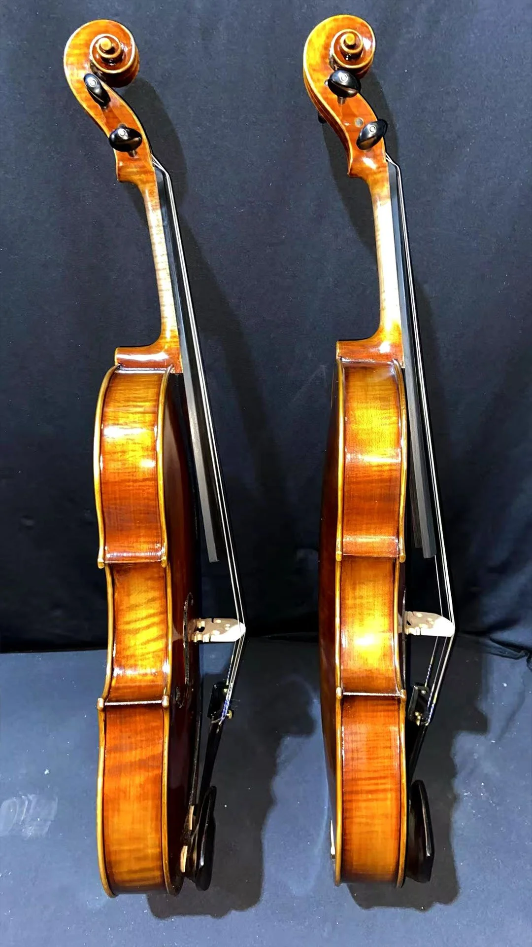 Paolo-Lorenzo-17-inches-viola-Rib.jpg