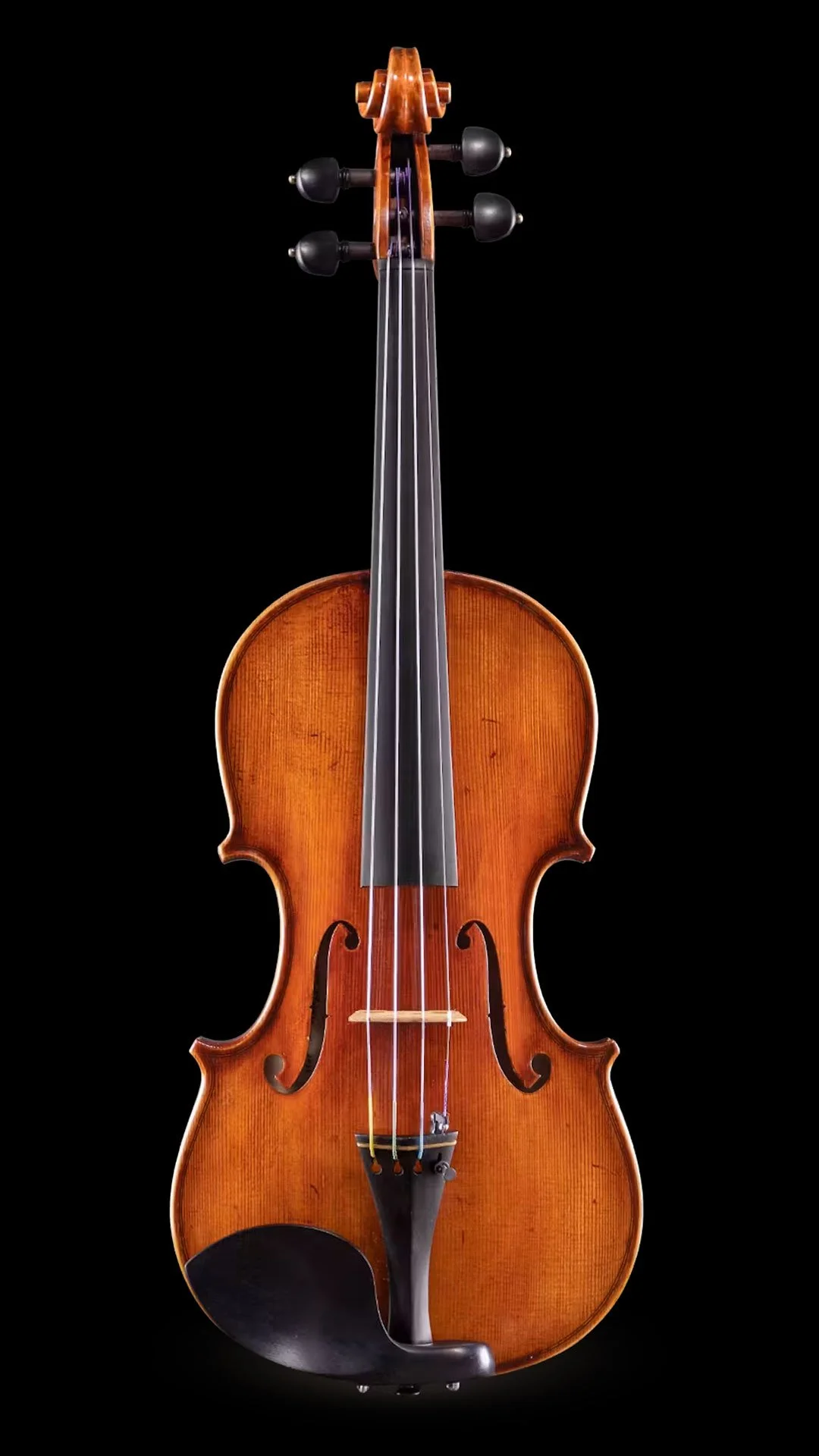 Samuel Eastman VL 830 Violin