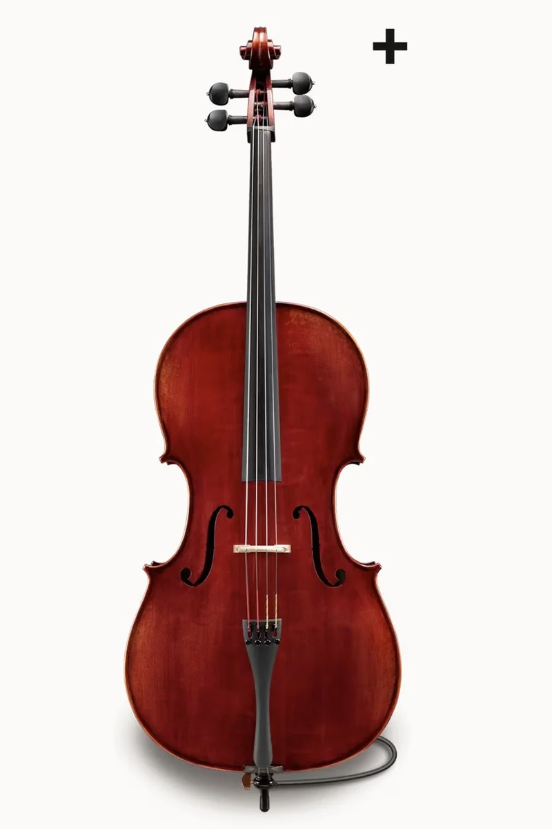 Eastman Series Plus — Vermont Violins