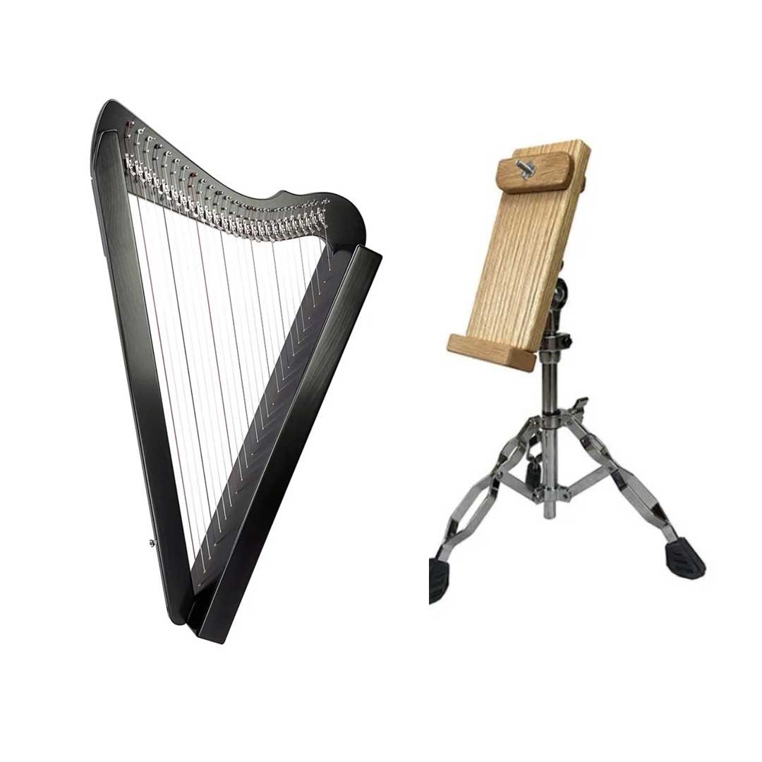 Fullsicle Harp by Rees Harps + Floor Stand