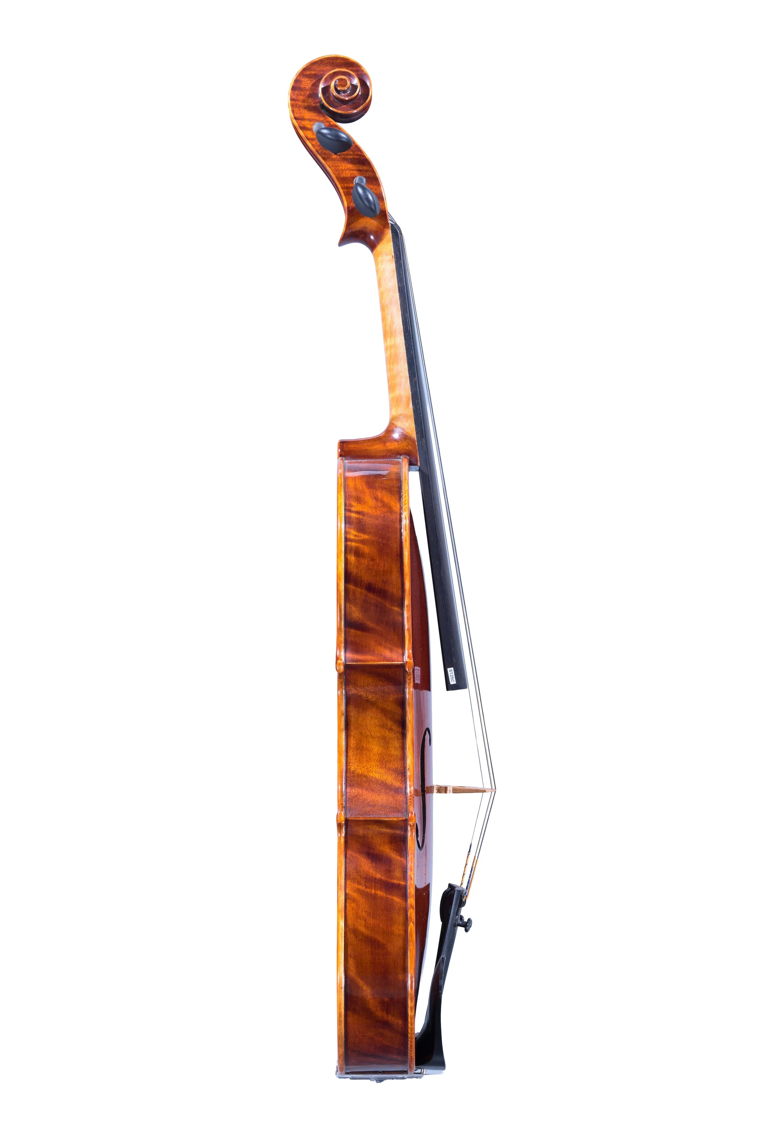6125C-Side_Gengacki-Viola.jpg