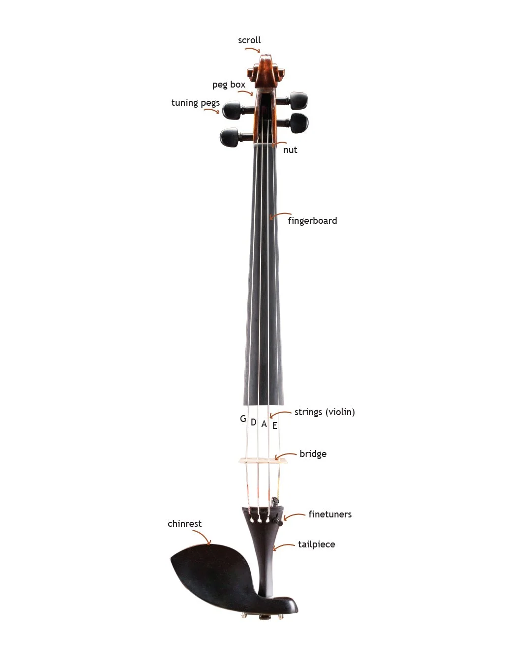 Interactive guide violin parts