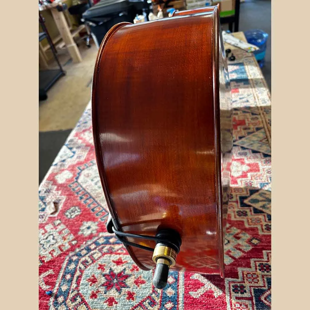 Used-Eastman-200-Cello-07.jpg
