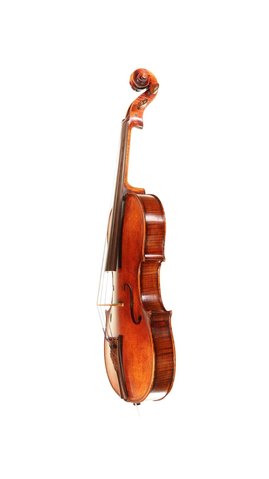 V-Richelieu-Small-Violas-Side.jpg (Copy)
