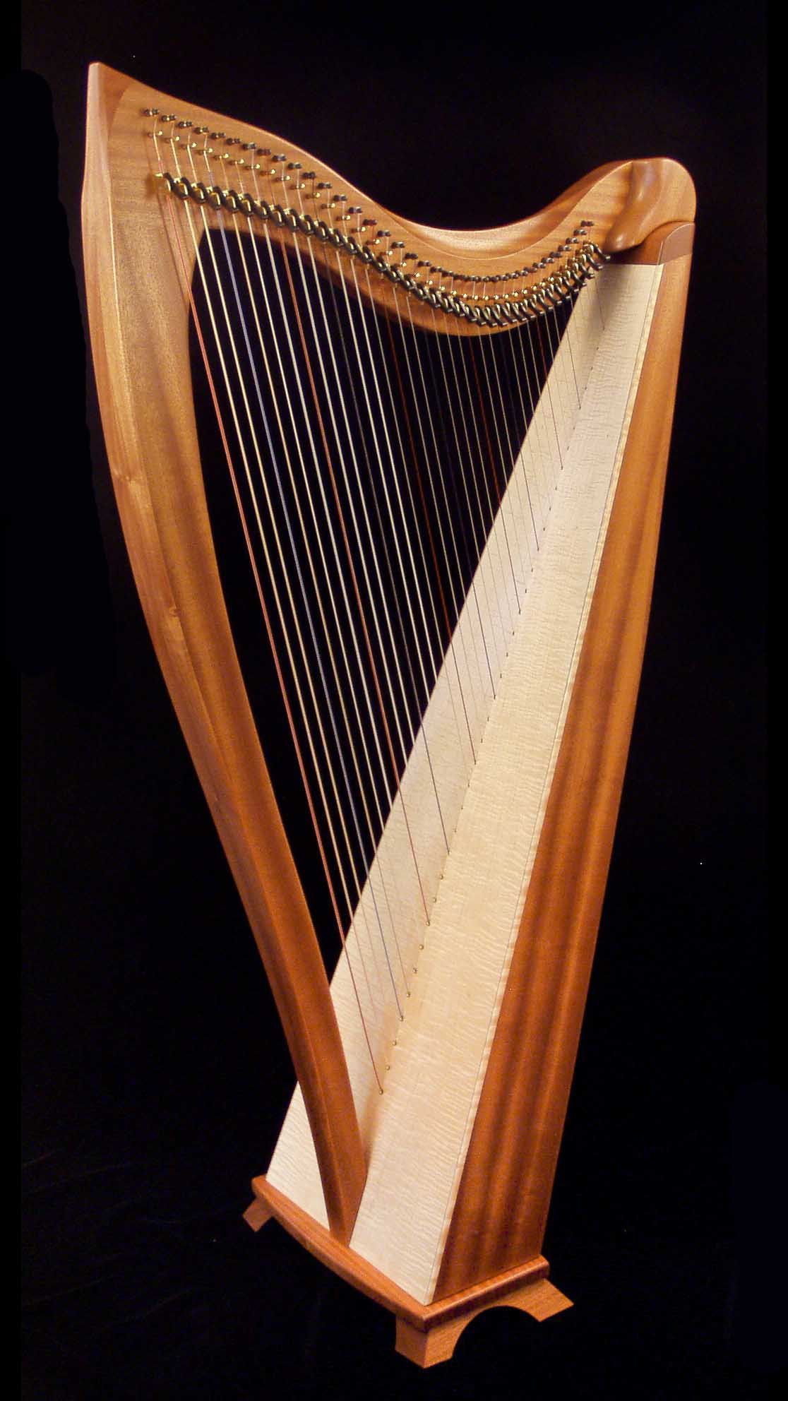 Dusty Strings Harp_FH36H-sapele.jpg