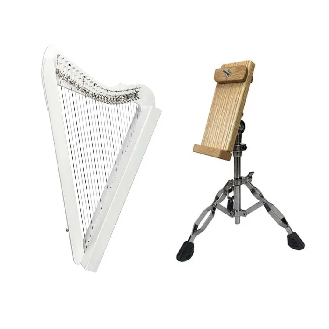 Fullsicle-Harp-plus-Stand.jpg