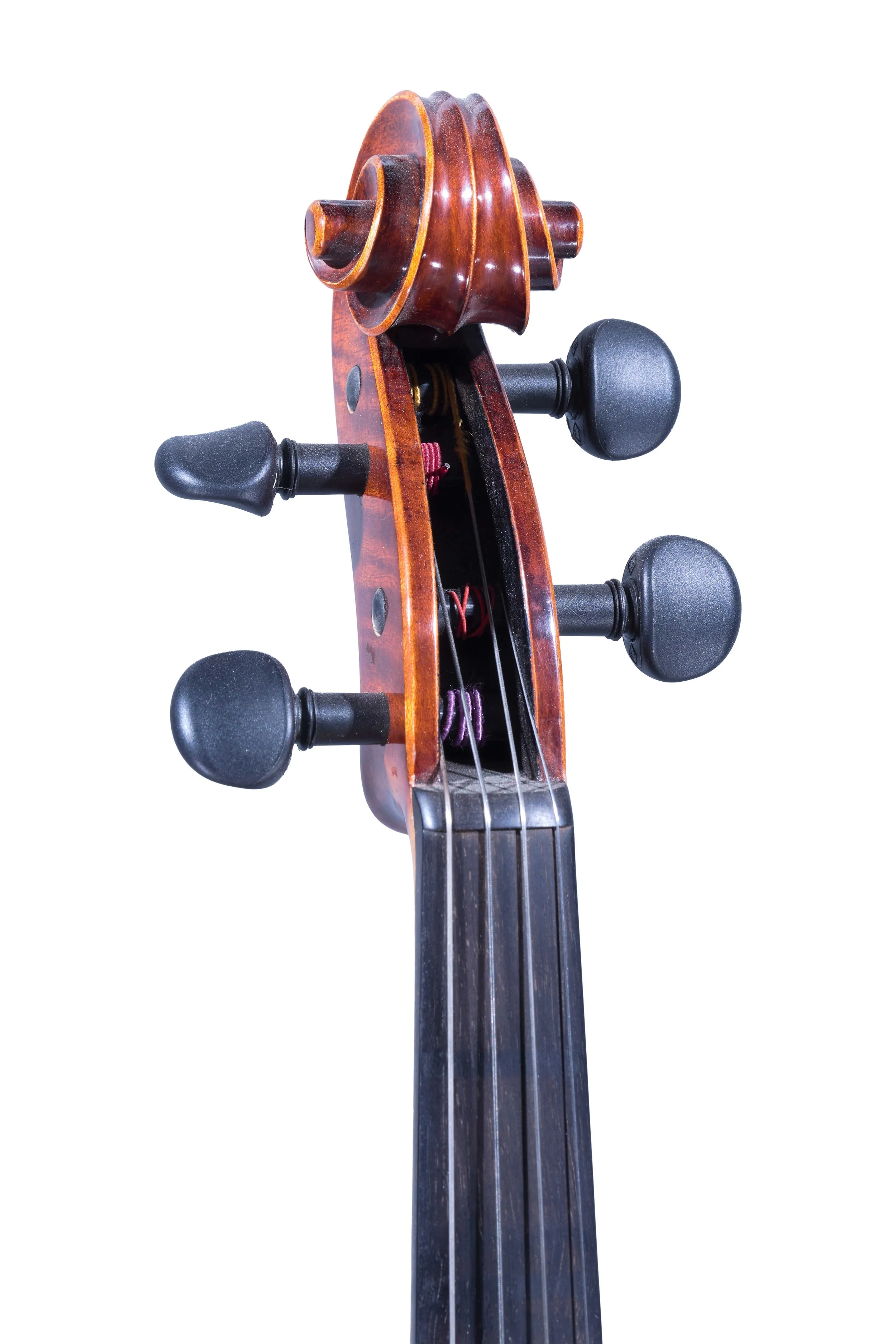 6125C-Scroll_Gengacki-Viola.jpg