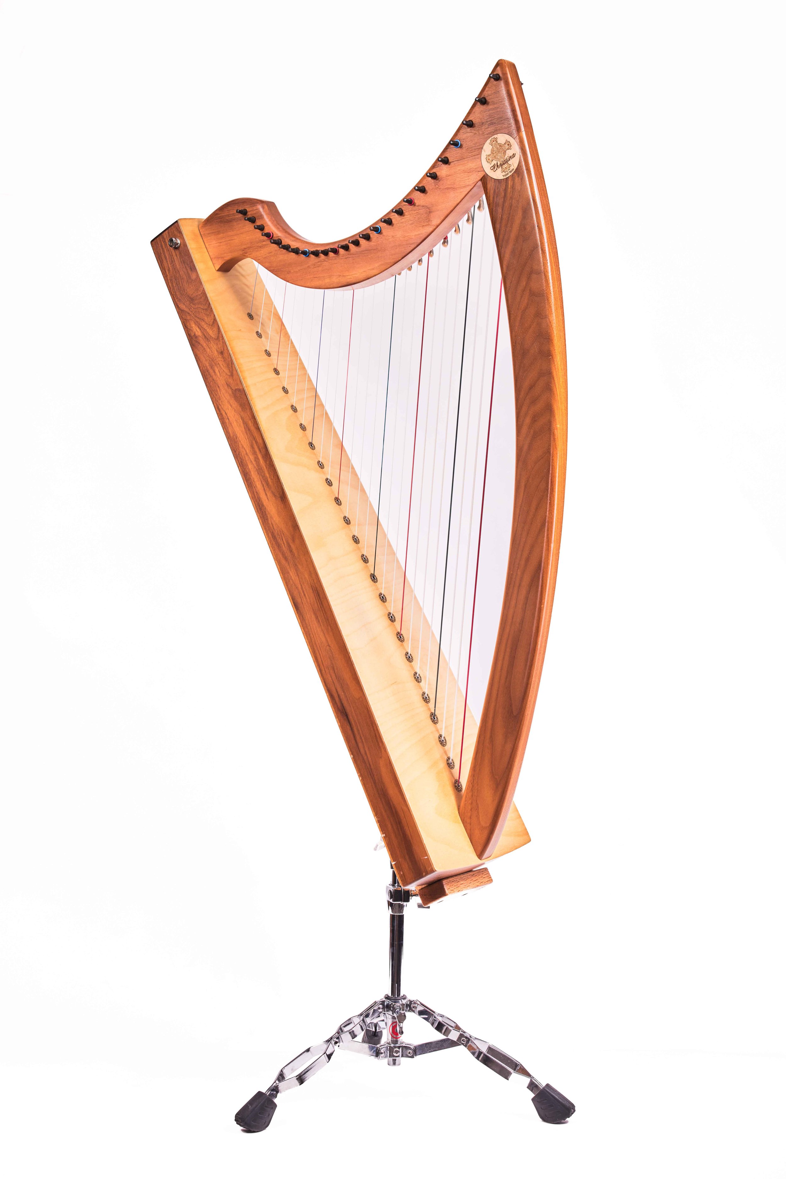 Therapy_Harp-3_4-L_1.jpg