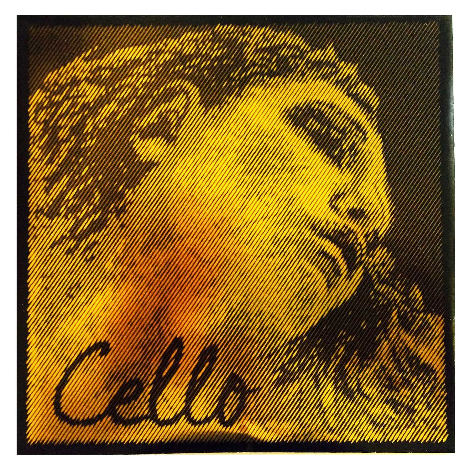 Evah Gold Cello String Set.jpg