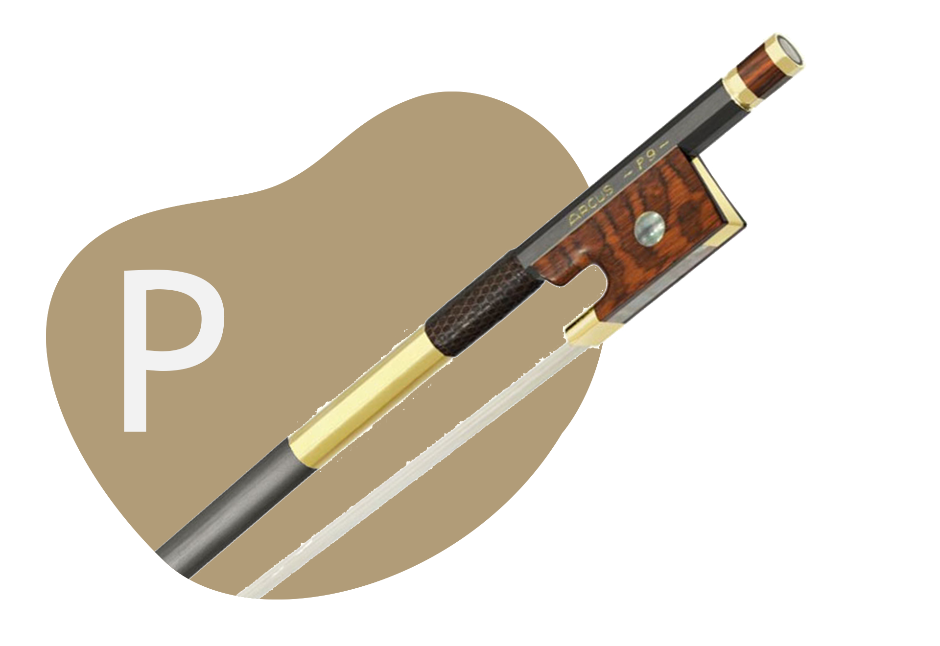 Arcus Violin Bows Series — Vermont Violins