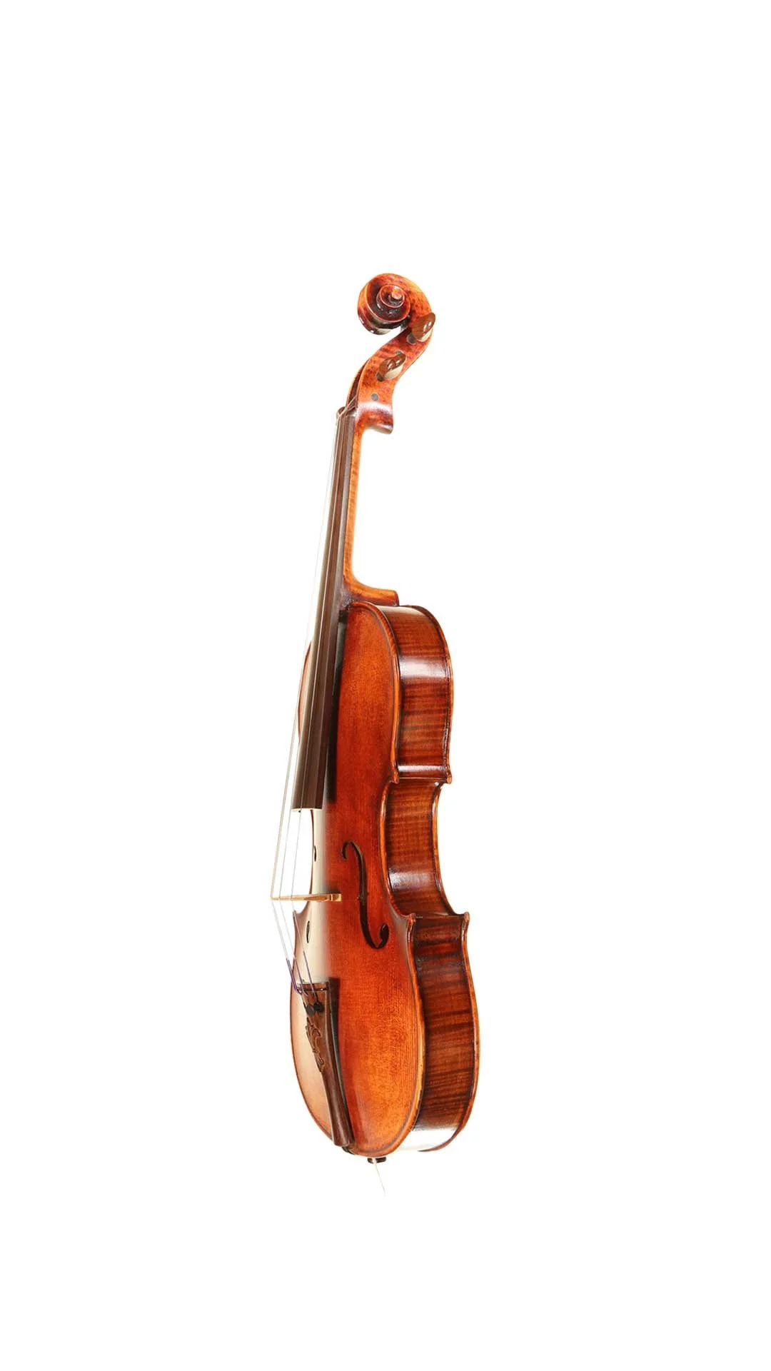 V-Richelieu-12inch-Small-Violas-Side.jpg