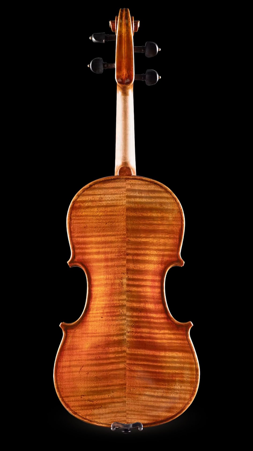 Eastman-VL-830-Violin-4-x-4-Back.jpg