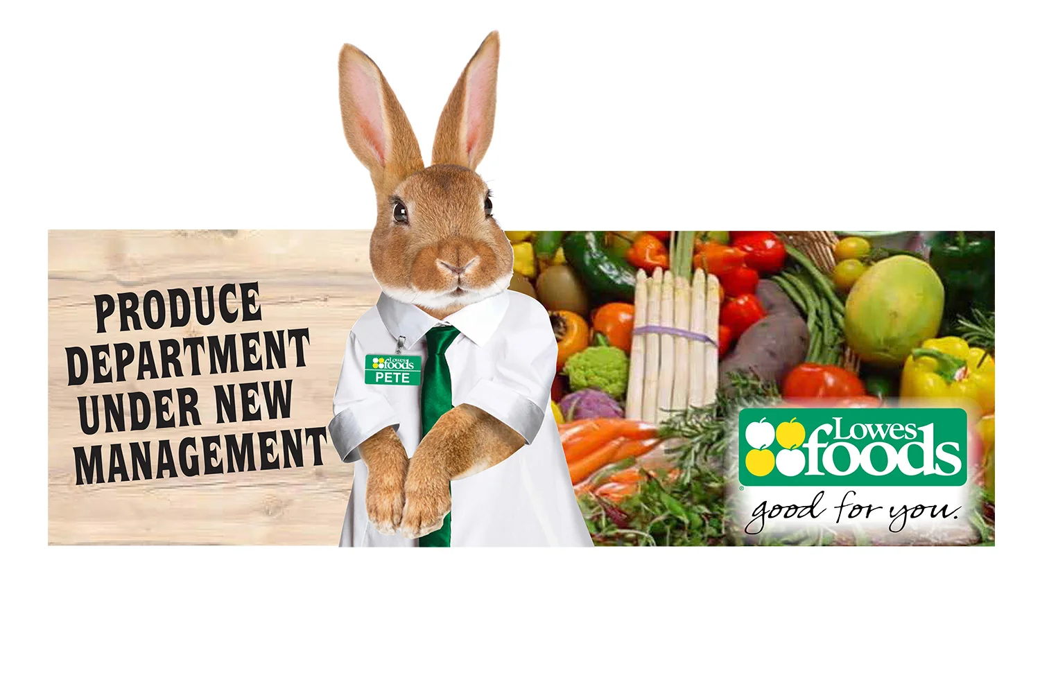 LOWESFoods-LewisAdvertising.jpg
