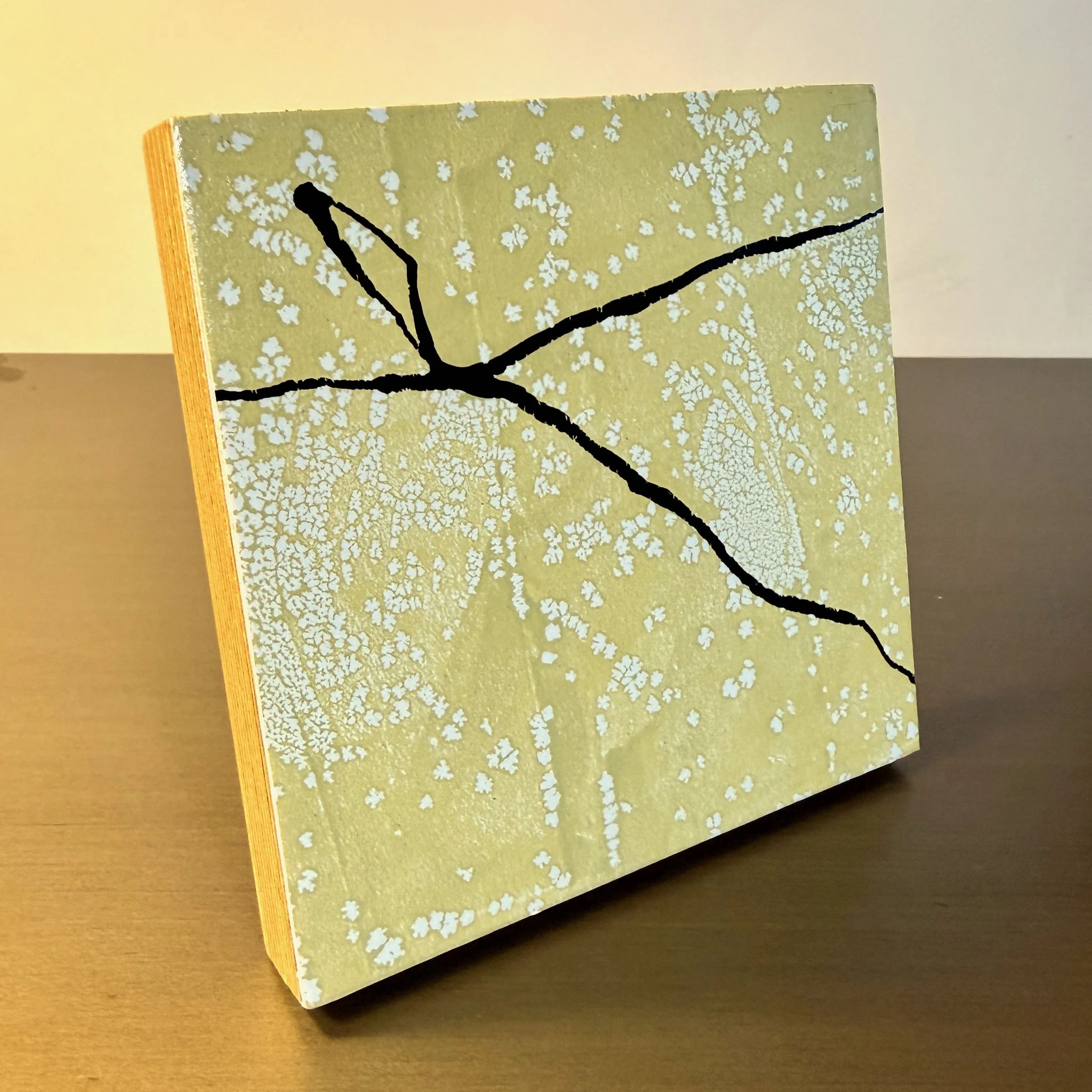 Cypress_on table.jpeg