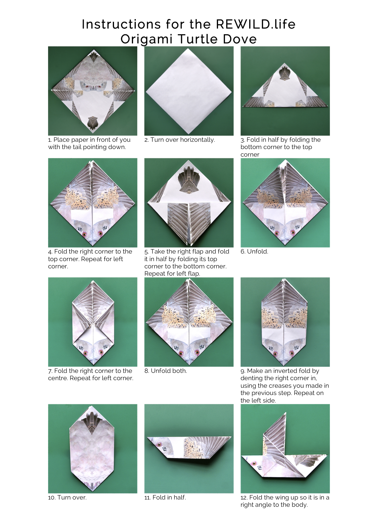 origami-ideas-step-by-step-origami-turtle-instructions