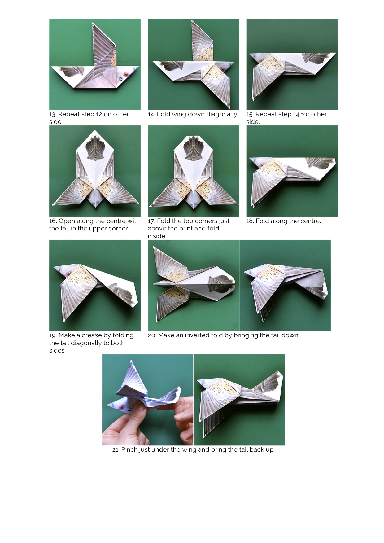 Origami Turtle Dove Instructions Rewildlife