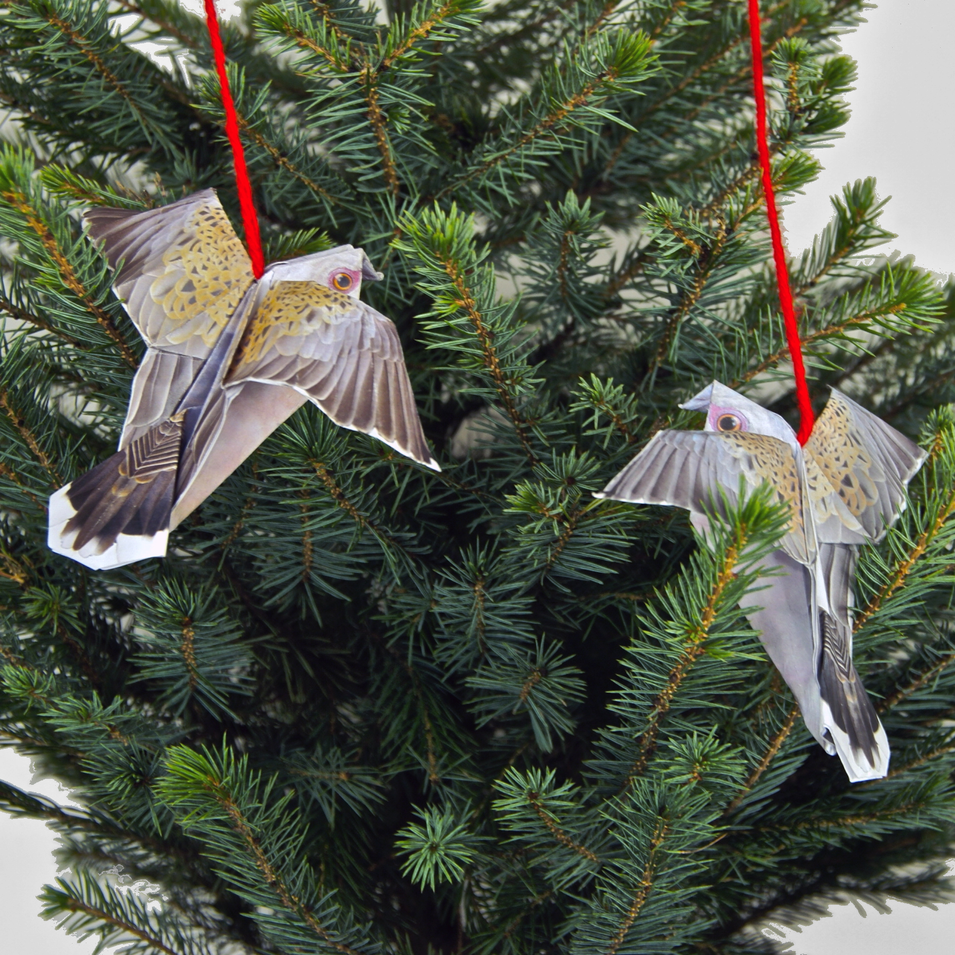 skydance birds in tree.jpg