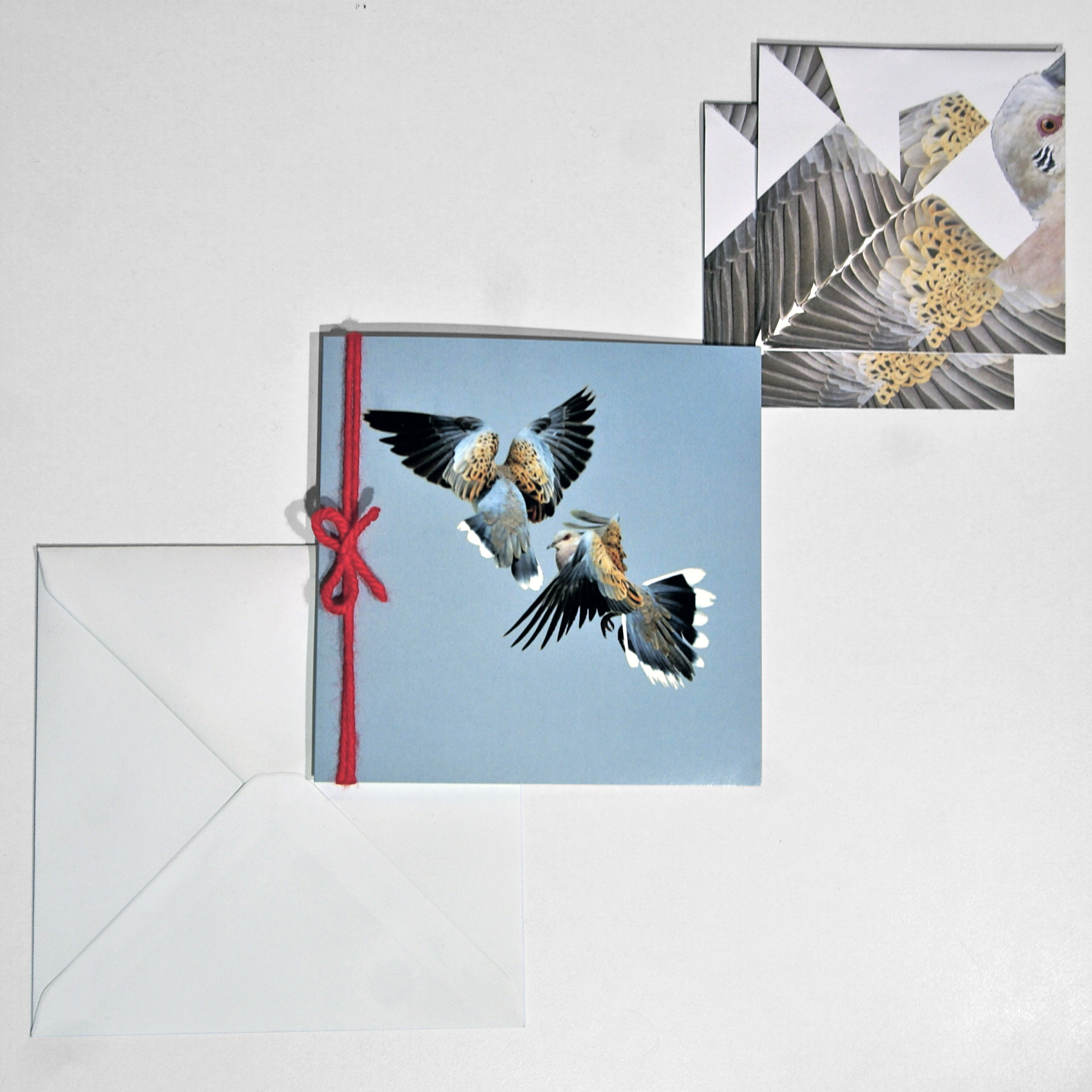 skydance card contents.jpg