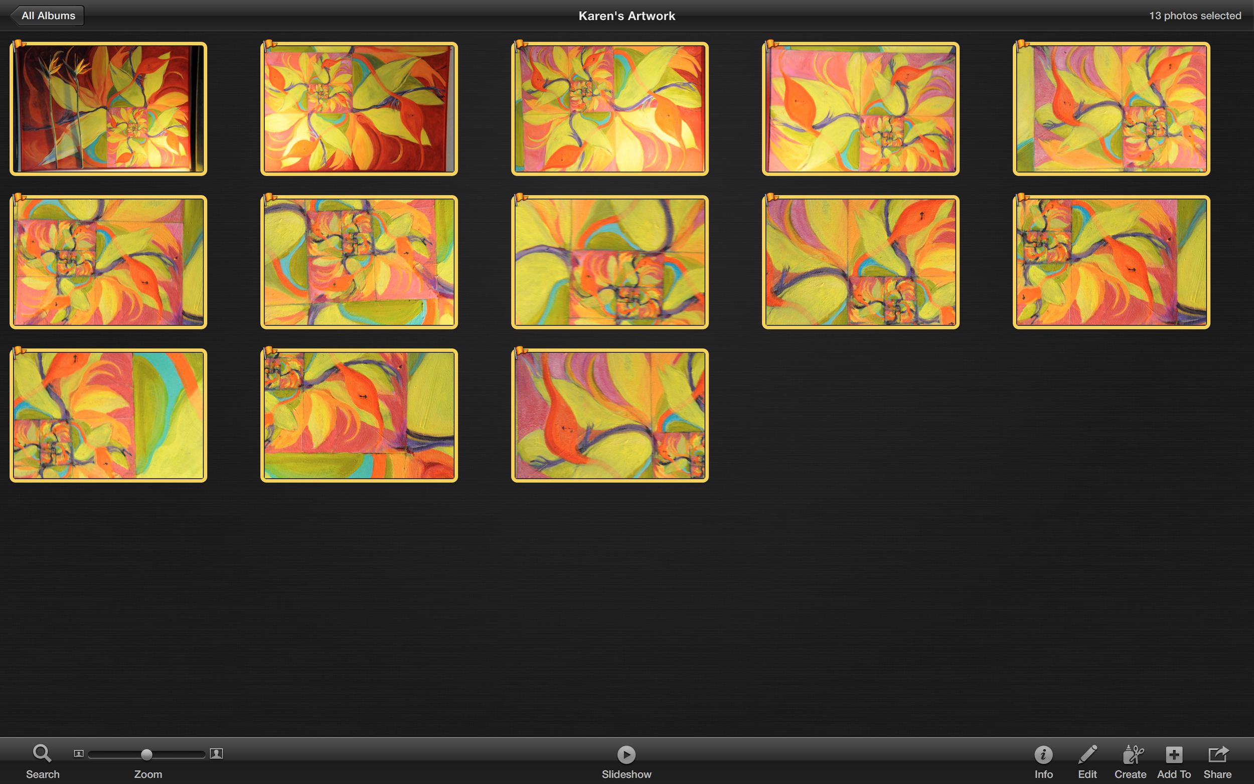 Bird of Paradise Series.png