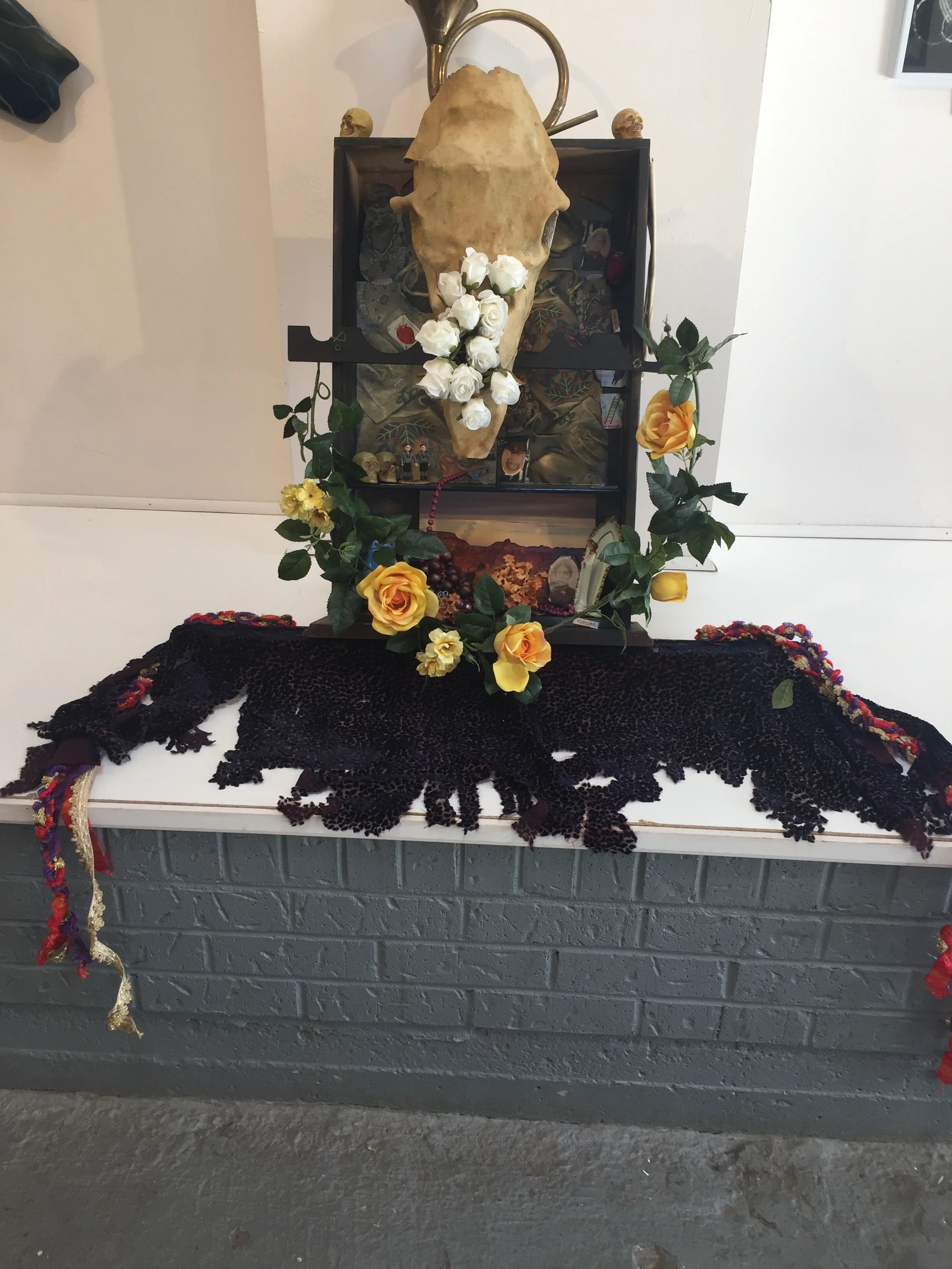 Searching for Refugia