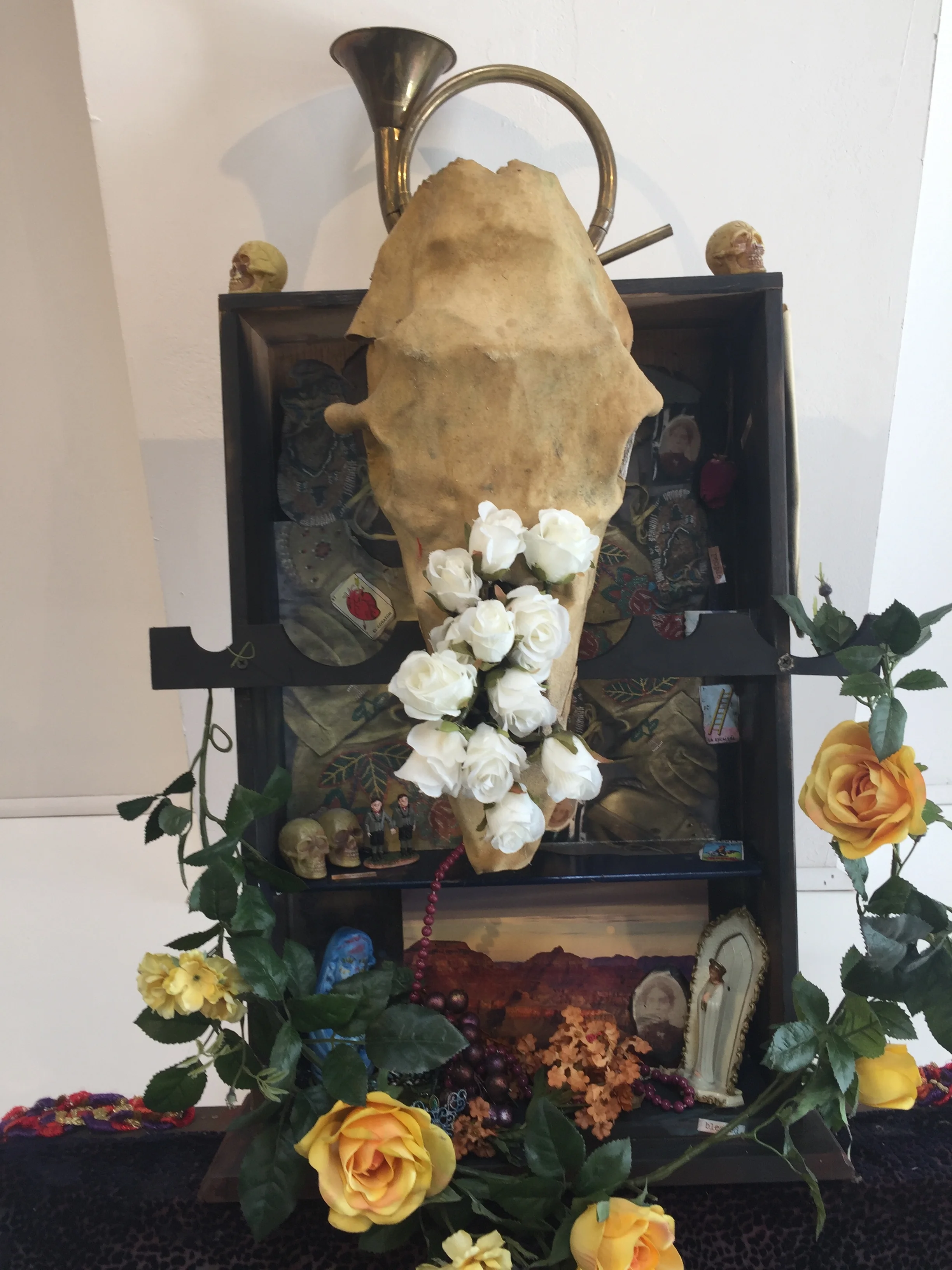 Searching for Refugia, Detail