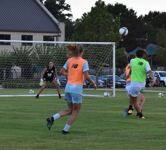 TTi & SBMSA Announce Working Partnership