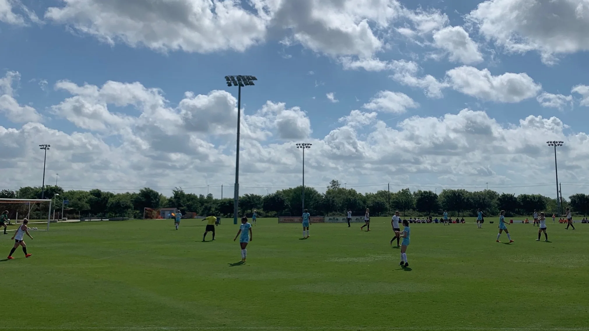 Bluebonnets Fall to Houston Dash