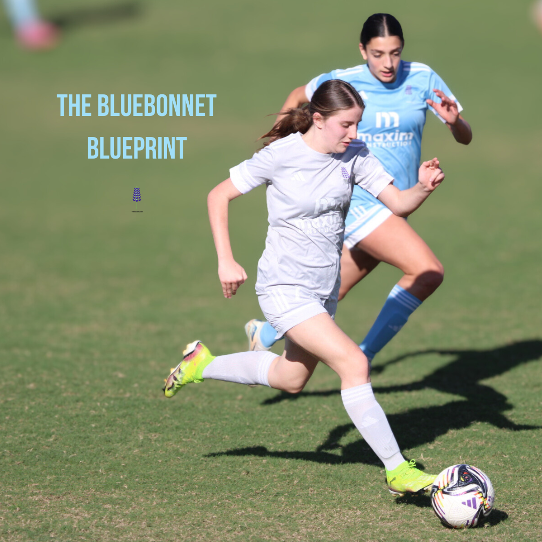 The Bluebonnet Blueprint