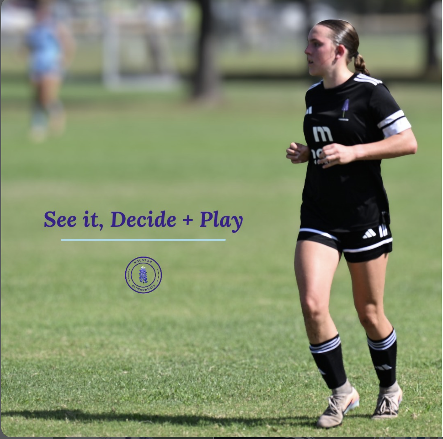 See it. Decide. Play.