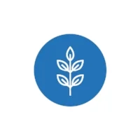 leaf.jpg
